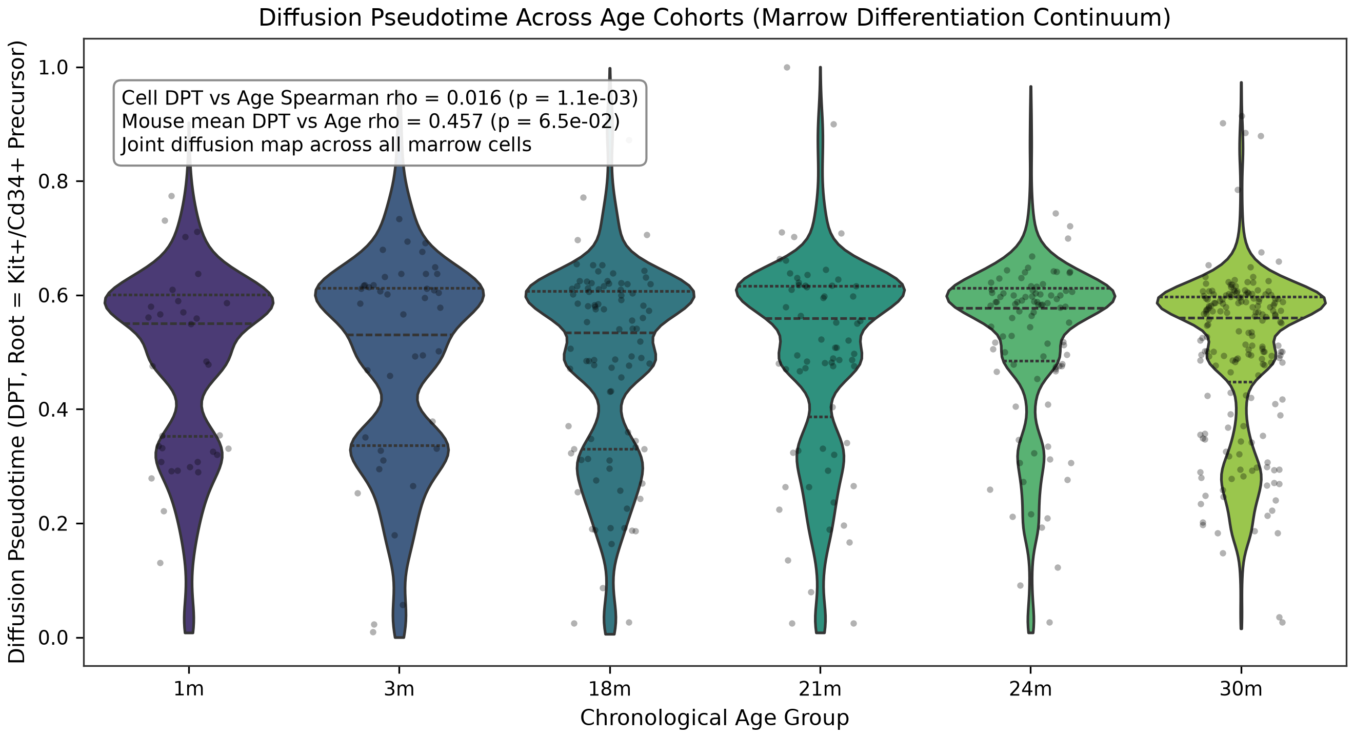 Diffusion pseudotime versus age